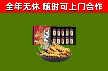 英山回收冬虫夏草价格