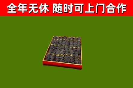 英山回收海参